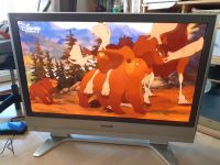 42 Zoll Plasma TV // Beschreibung bitte komplett lesen - Danke Bayern - Kaufbeuren Vorschau