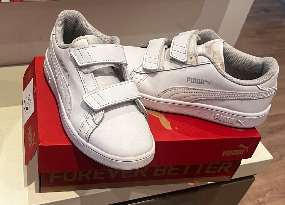 Puma Kinderschuhe 33 in Frankenthal (Pfalz)