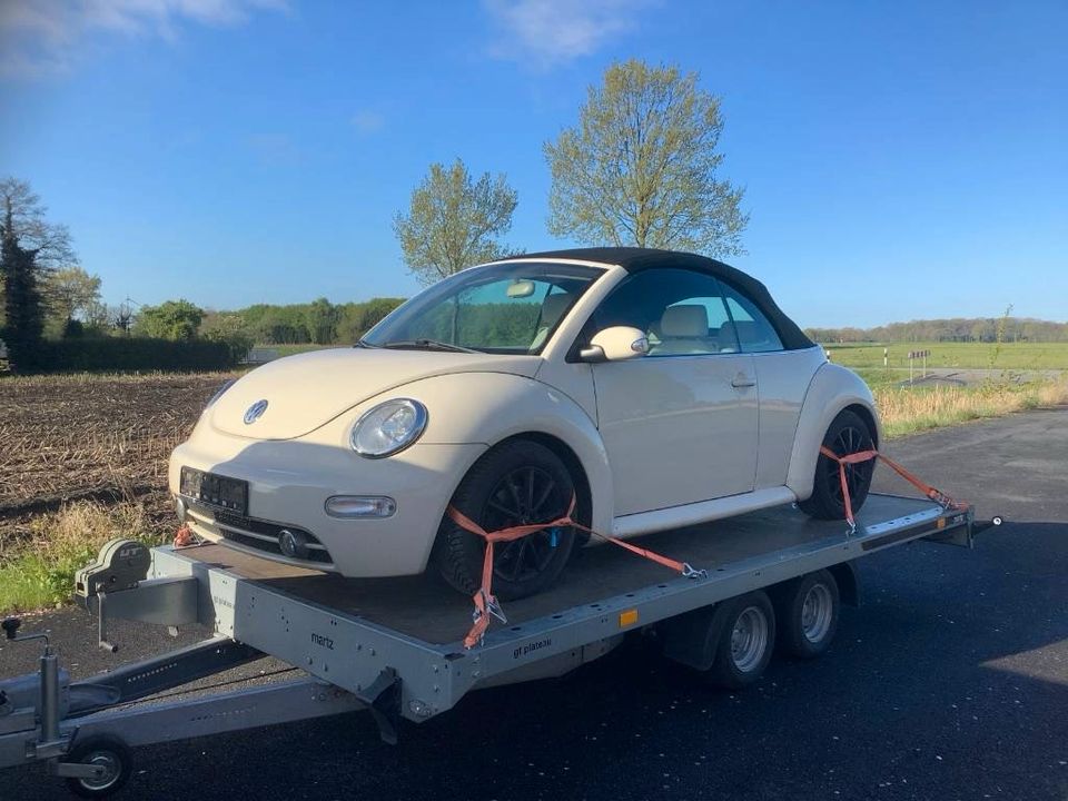 Cabriodach Verdeck Cabrioverdeck fast NEU VW Beetle 1Y Cabrio in Lengerich