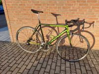 Cannondale SuperSix Evo Hi-Mod, Di2 Ultegra 54 cm, Power2max neu Hessen - Friedberg (Hessen) Vorschau