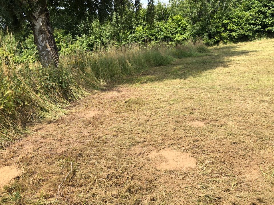 Mulch/Mäharbeiten in Altenstadt an der Waldnaab