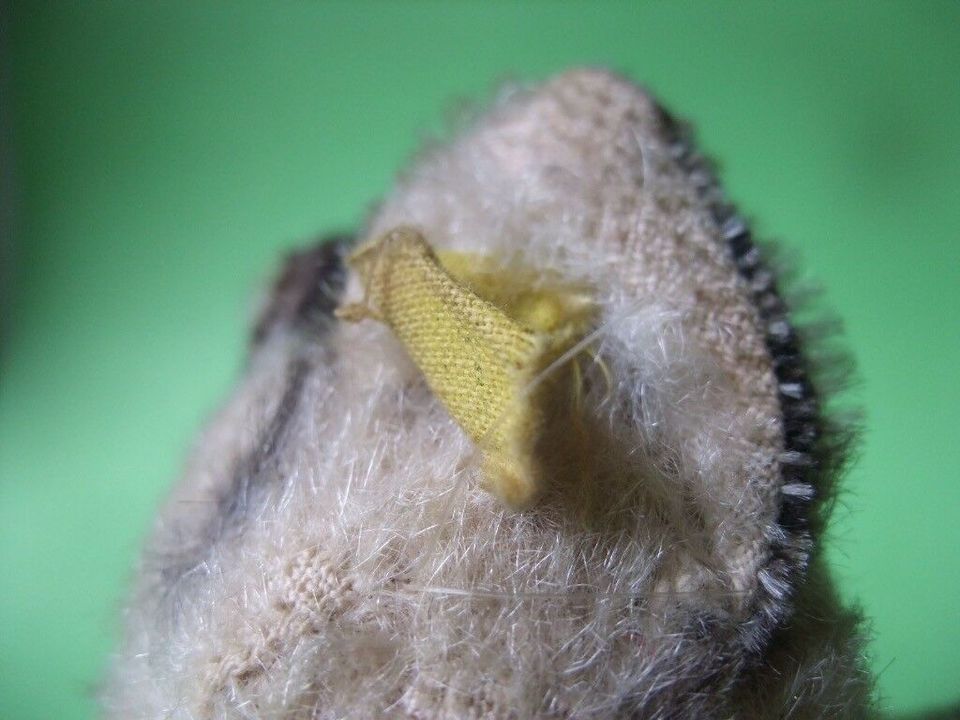 Altes Steiff Stofftier Kuscheltier Katze mit Knopf und Fahne ???? in Stuhr