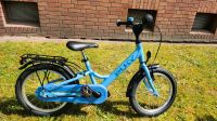 Puky Kinderfahrrad YOUKE16, 16" ab ca. 4 + Jahren, 8,2 kg, NEU Hamburg-Nord - Hamburg Barmbek Vorschau