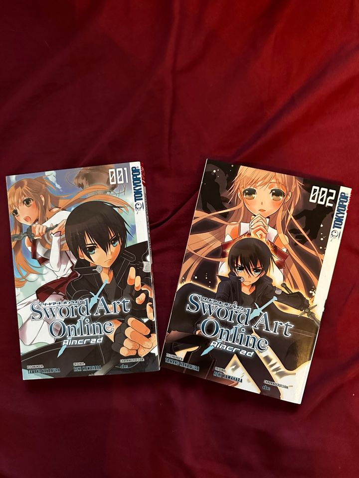 Sword Art Online Rincrad Animes Mangas Bücher Comics in Bamberg