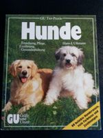 Gebrauchtes Buch "  Hunde  " Niedersachsen - Vordorf Vorschau