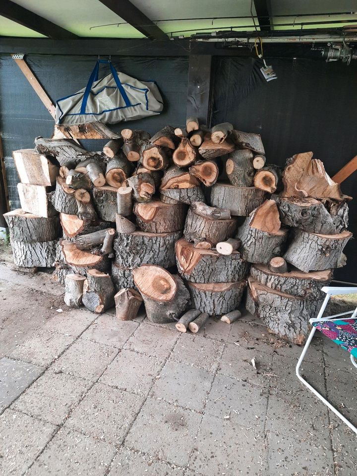 Nussbaumholz zu verkaufen in Apolda