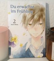 Manga Du erwachst im Frühling Band 2 Rheinland-Pfalz - Bad Hönningen Vorschau