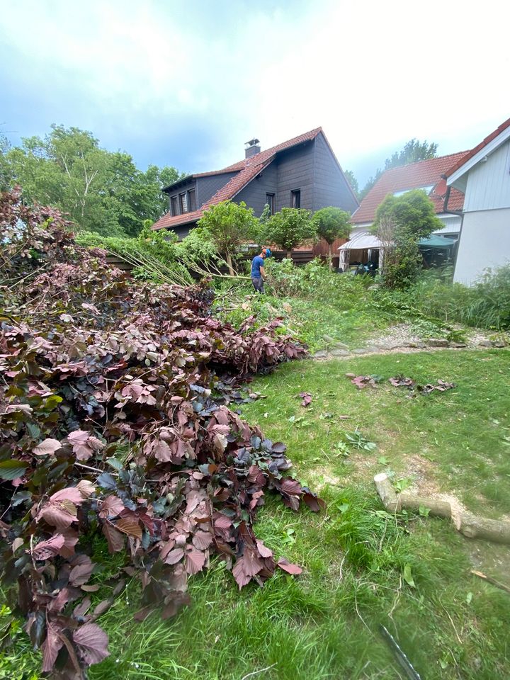 Gartenpflege Dortmund Gartengestaltung Baumpflege Baggerarbeit in Dortmund