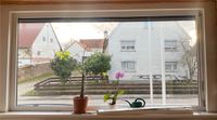 Glas Fenster Riesig - Einmalige Gelegenheit ! 3,0m x 1,5m Baden-Württemberg - Ulm Vorschau