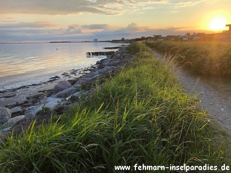 FEHMARN ❤️ Ostsee ☀ Ferienwohnung Meerblick ☘️ Naturstrand ⚓ Hund in Fehmarn