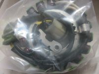 Electrosport Lima Stator NEU Aprilia RSV1000 SL1000 Falco ESG922 Bayern - Illertissen Vorschau