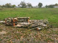 Kabelbruch beim Rasenroboter Brandenburg - Brandenburg an der Havel Vorschau