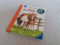 Wieso Weshalb Warum junior Das Pony Baden-Württemberg - Laupheim Vorschau