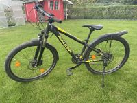 Raleigh Daymax LTD 27,5“ Brandenburg - Geltow Vorschau