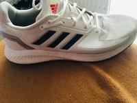 Adidas Schuhe neuwertig Hamburg-Nord - Hamburg Langenhorn Vorschau