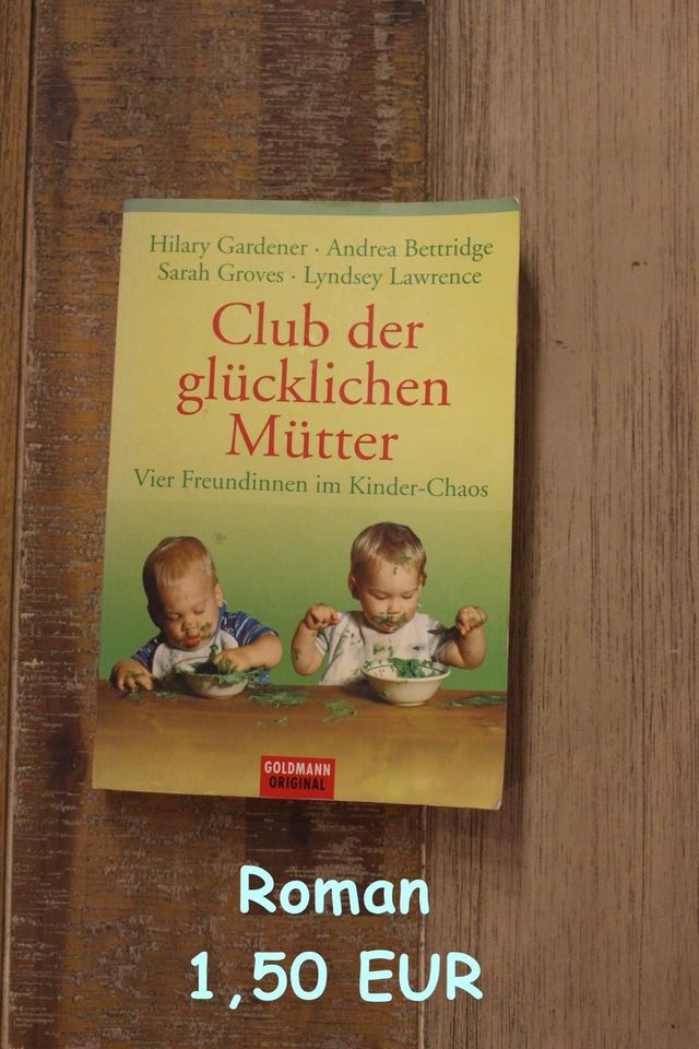 Roman Club der glücklichen Mütter,  Kinder Chaos in Zehdenick