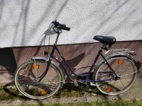 PEGASUS Damen Fahrrad 26` mit Gangschaltung Hamburg-Nord - Hamburg Barmbek Vorschau