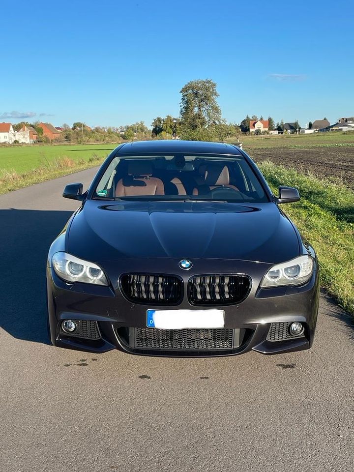 BMW F10 520d in Gerwisch