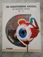 3D Anatomisk Model Eye Auge Schule Bildung Körper Biologie Hessen - Seeheim-Jugenheim Vorschau