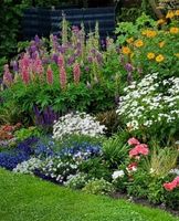 Brauchen Sie Hilfe im Garten? Ein echter Gärtner für Ihren Garten Dithmarschen - Buesum Vorschau