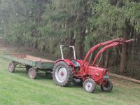 Güldner G40S Traktor Schlepper Bayern - Mammendorf Vorschau