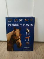 Pferde & Ponnys Sachbücher Sachsen - Hartha Vorschau