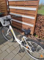 Fahrrad zu verkaufen Nordrhein-Westfalen - Rödinghausen Vorschau
