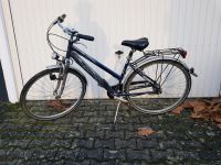 Fahrrad Damenrad Citybike Pegasus Alu Hessen - Oberursel (Taunus) Vorschau