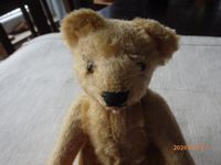 Sehr alter kleiner Teddy Bär Nordrhein-Westfalen - Freudenberg Vorschau
