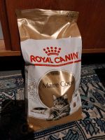 Trockenfutter Royal Canin Maine Coon Dresden - Südvorstadt-West Vorschau