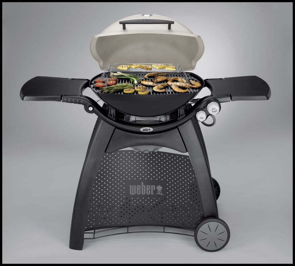 Weber Q 3000 Titanium mobiler Gasgrill Camping Garten in Dortmund