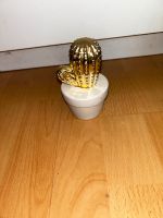Kaktus Gold für 1,50€ Hessen - Darmstadt Vorschau