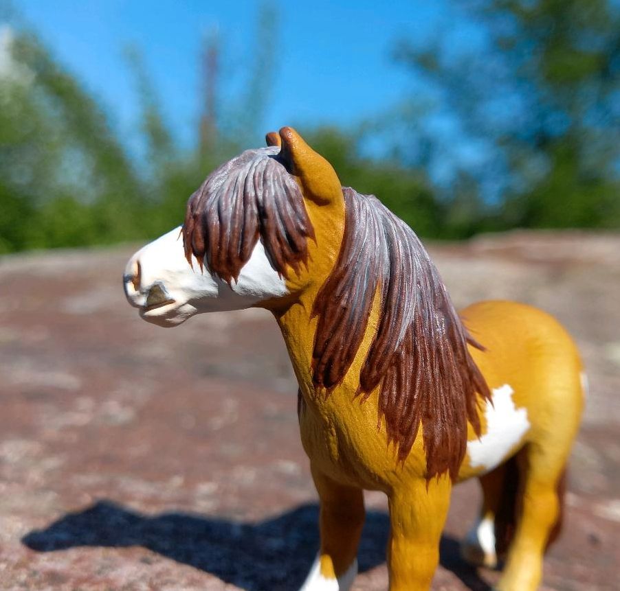 Schleich Pferd Modellpferd repainted Cust Repaint in Aschaffenburg