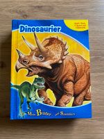 Dinosaurier Spiel Buch Spielfiguren Dinos Figuren Spielzeug Bayern - Bad Staffelstein Vorschau