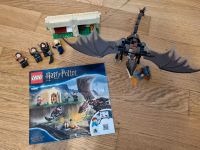 Lego Harry Potter 75946 Der ungarische Hornschwanz Bielefeld - Bielefeld (Innenstadt) Vorschau