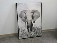 Bild Leinwand Elefant Afrika Schwarz Weiß Bayern - Dingolfing Vorschau