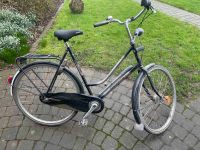 Damen Fahrrad Gazelle 28 Zoll preiswert Nordrhein-Westfalen - Drensteinfurt Vorschau