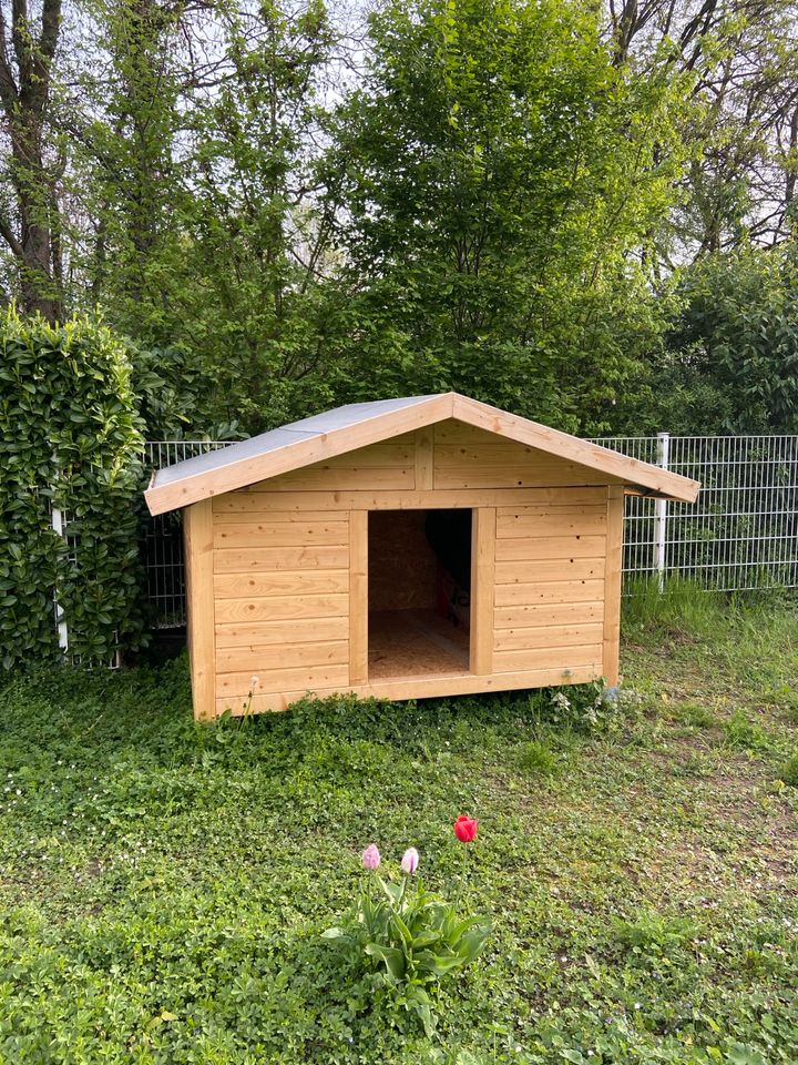 Hundehütte isoliert XXL in Edingen-Neckarhausen