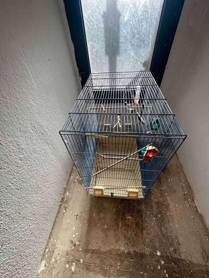 Käfig Vögel in Bremen