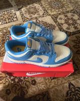 Nike dunks Hessen - Philippsthal (Werra) Vorschau