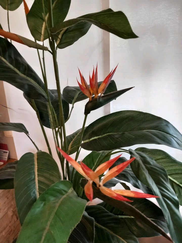 Künstliche Pflanze " Paradiesvogel" ,130 cm hoch in Essen