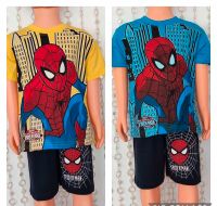 Spiderman T-Shirt Set Shorts kurze Hose Gr 110 116 NEU München - Pasing-Obermenzing Vorschau