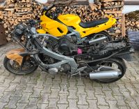 Kawasaki ZZR 600 D Baujahr 1992 Bayern - Dietramszell Vorschau