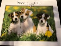 1000 Teile Puzzle: Hundewelpen; Kinder Spielzeug Hessen - Baunatal Vorschau