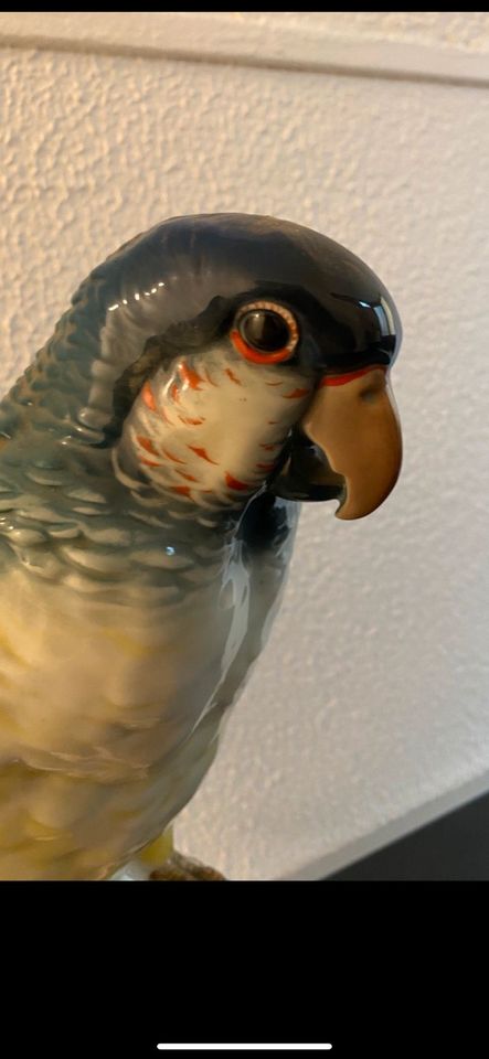 Porzellan Papagei Figur Karl Ens 1.Wahl in Essen