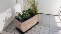 3 Ton-Blumentöpfe Pflanzenkasten, mit Erde und Auffangwannen Kr. München - Unterhaching Vorschau