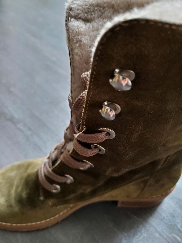 Winterstiefel, Schnürstiefel  khaki in Mainz