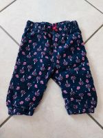 Topomini Baby Mädchen Cordhose Gr. 68 dunkelblau - wie NEU Hessen - Weilmünster Vorschau