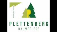 Baumpflege/Baumklettern/Baumschnitt/Marsberg/Bad Arolsen Baden-Württemberg - Kornwestheim Vorschau