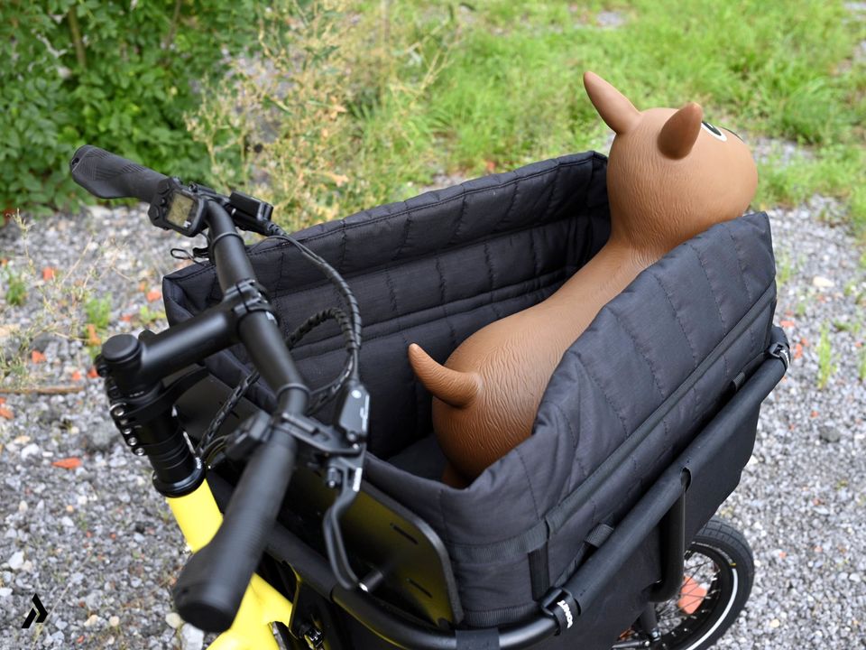2024 YOONIT Mini E-Cargobike | ideal für Hunde | Shimano EP6 Motor | Lastenfahrrad kompakt | Pakumo Fachhandel für Transportfahrräder in Paderborn